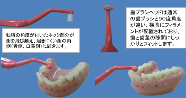 Tepe歯ブラシ ユニバーサルケアの特徴を歯の模型を使って説明した画像
